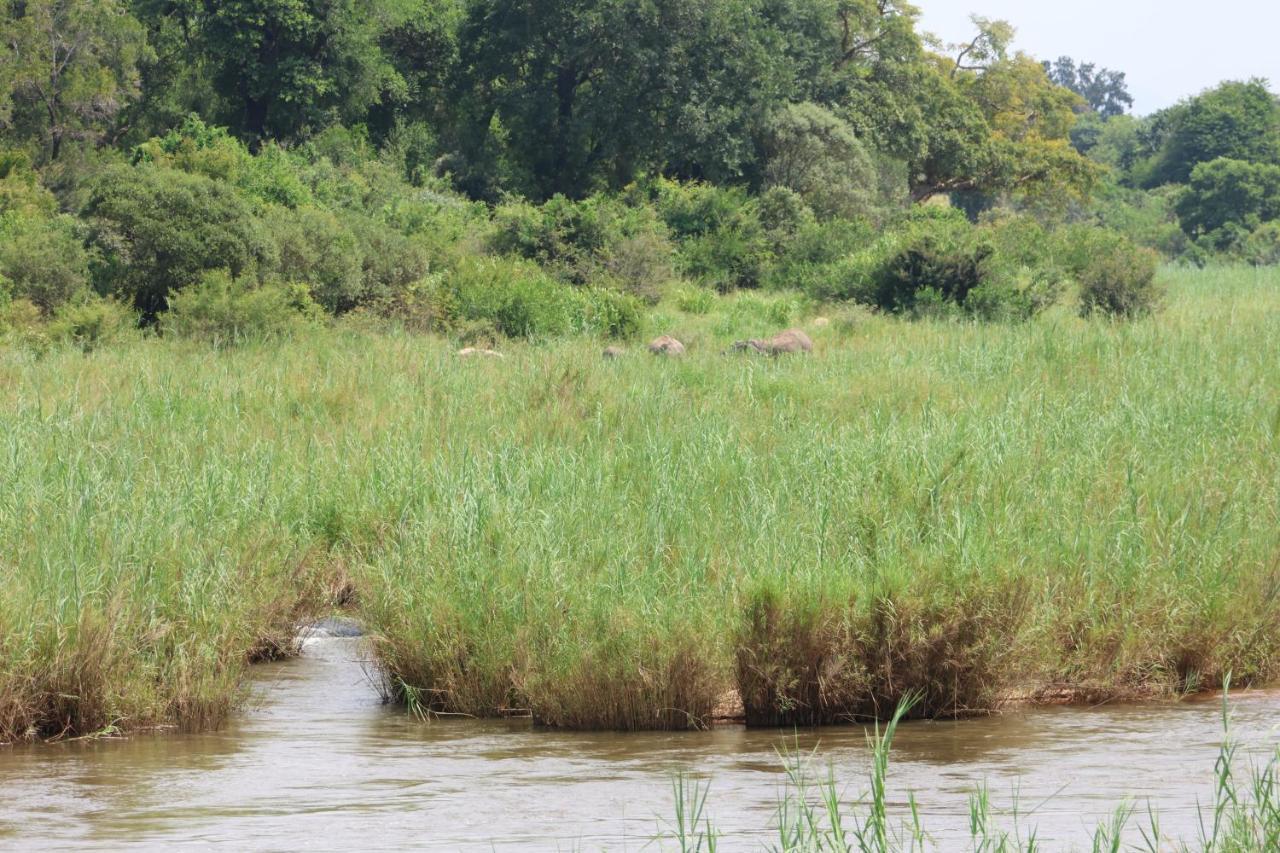 Sabie River Bush Lodge Hazyview Bagian luar foto