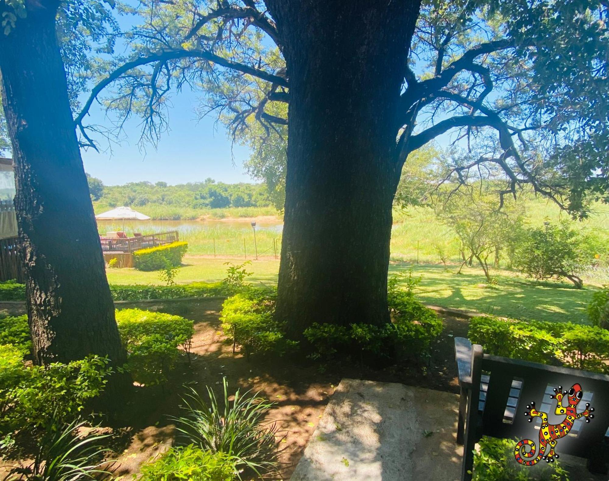 Sabie River Bush Lodge Hazyview Bagian luar foto